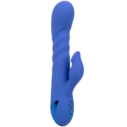 CALEXOTICS - LA LOVE VIBRADOR E SUCÇÃO AZUL DA CALIFORNIA DREAMING