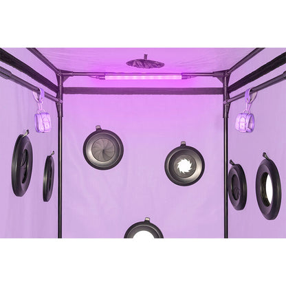 SECRET DOME - ESCÂNDALO ROXO DO CLUBE KINK