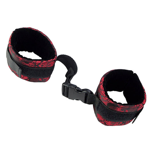 CALEXOTICS - SCANDAL ALGEMAS DE CONTROLE